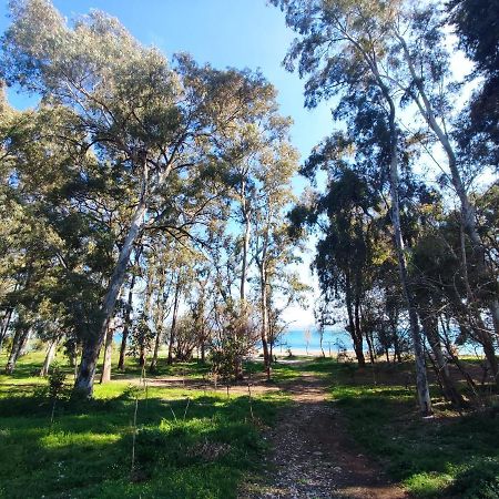 Palmeira Sea & City Preveza Eksteriør billede